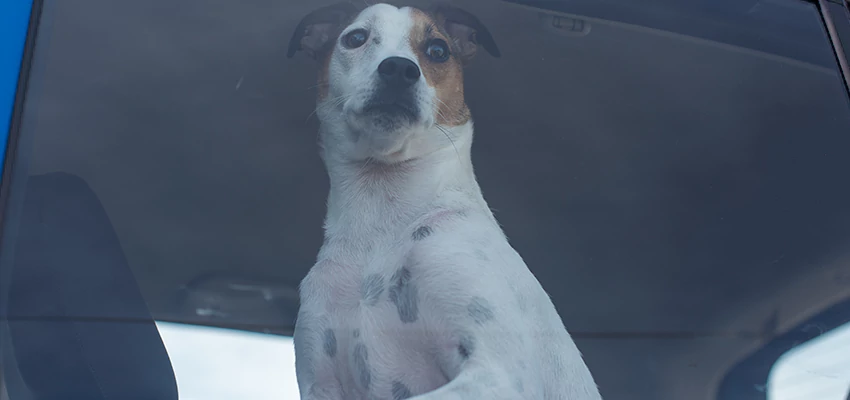 Car Lockout Solutions in Fairview, California